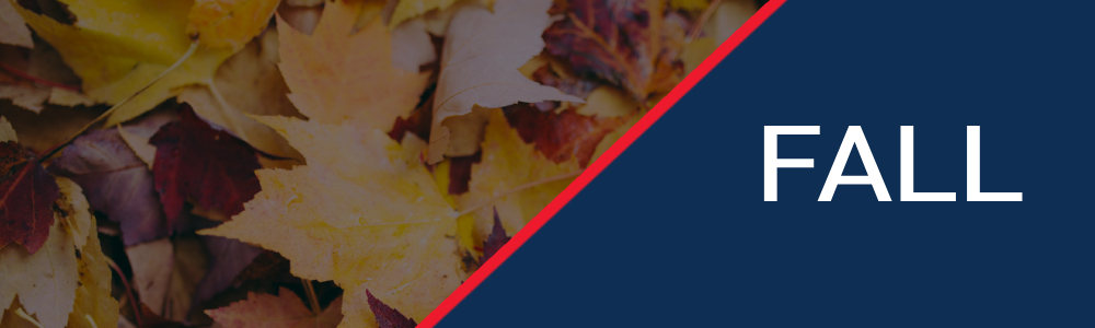 Autumn leaves in various colors are shown on the left. The word "FALL" is in white text on a dark blue background on the right.