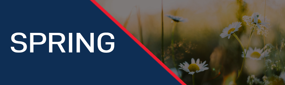 The image shows a navy blue and red geometric design with the word "SPRING" on the left, and a blurred background of daisies and grass on the right.