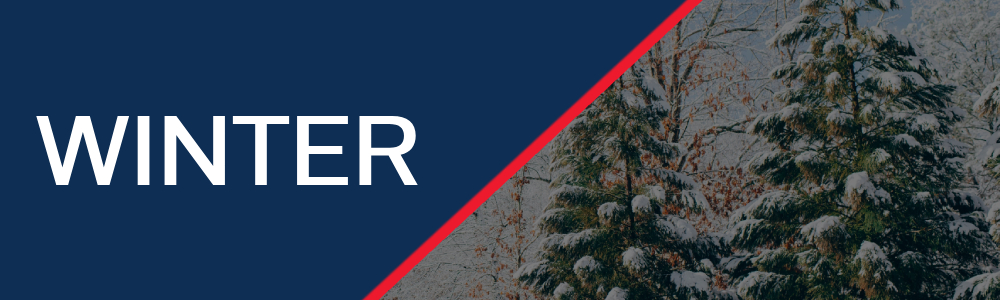 Text "WINTER" on a blue background with a red diagonal line separating it from a snowy evergreen tree scene.